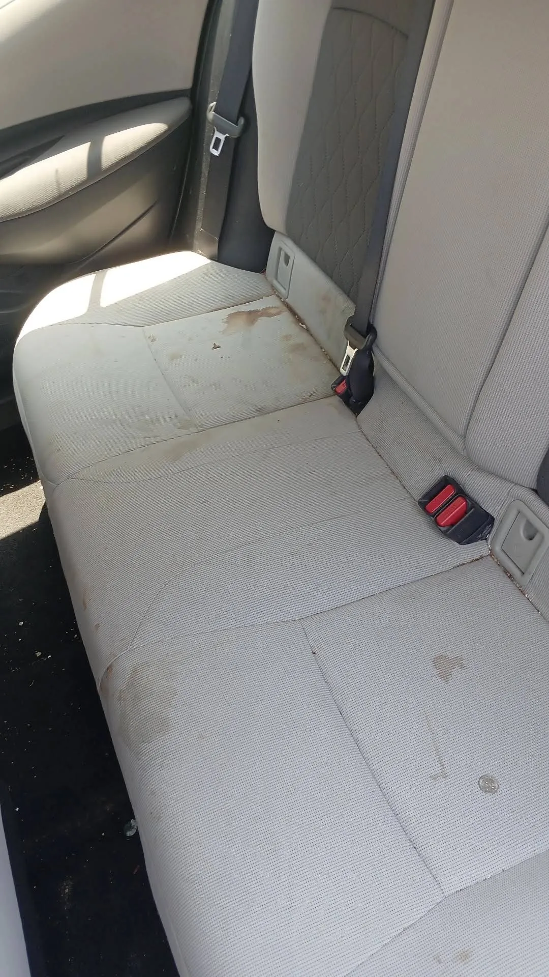 Stained rear seat before interior detailing, customer photo